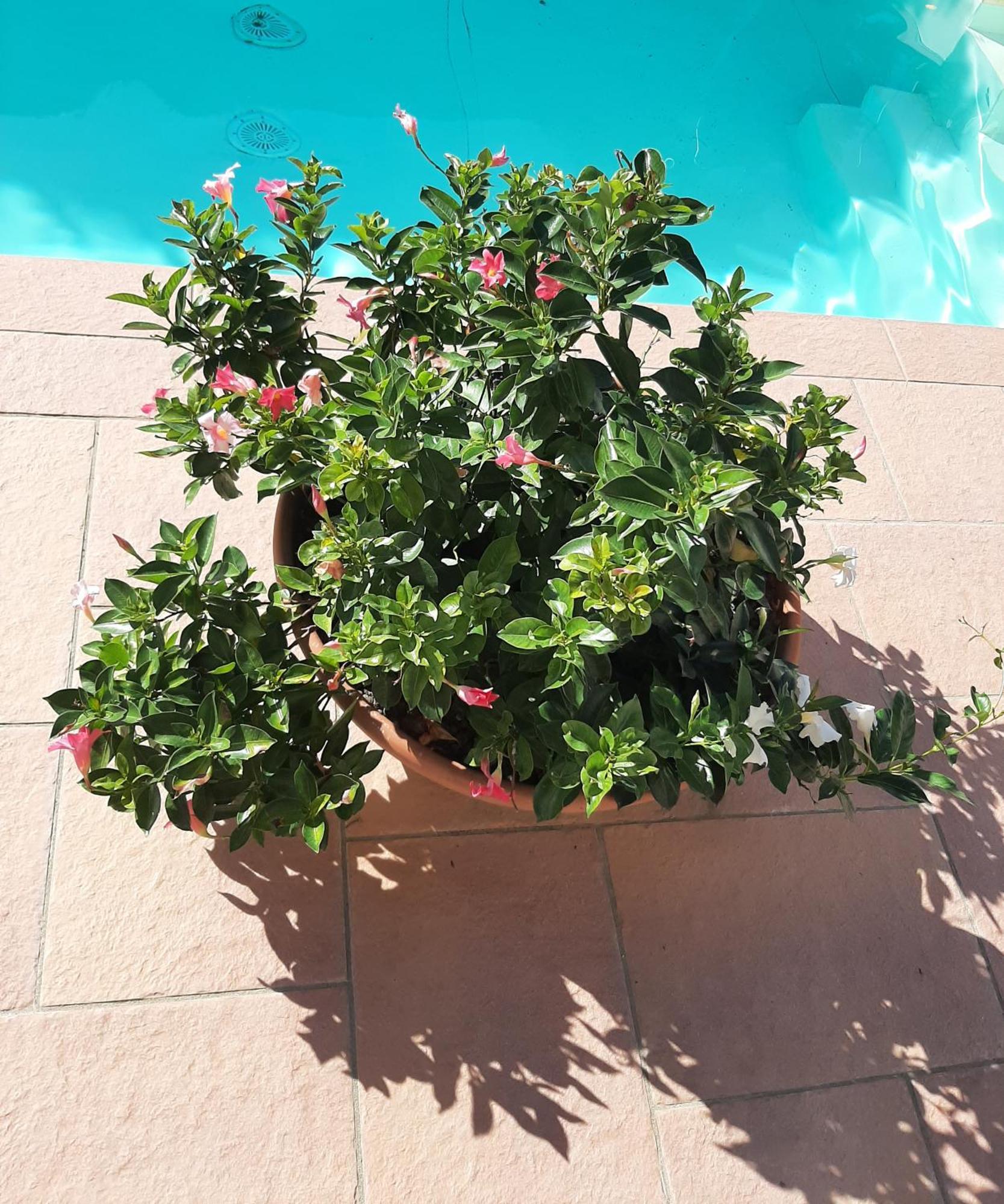 Borgo Dei Cadolingi Appartement Gambassi Terme Buitenkant foto