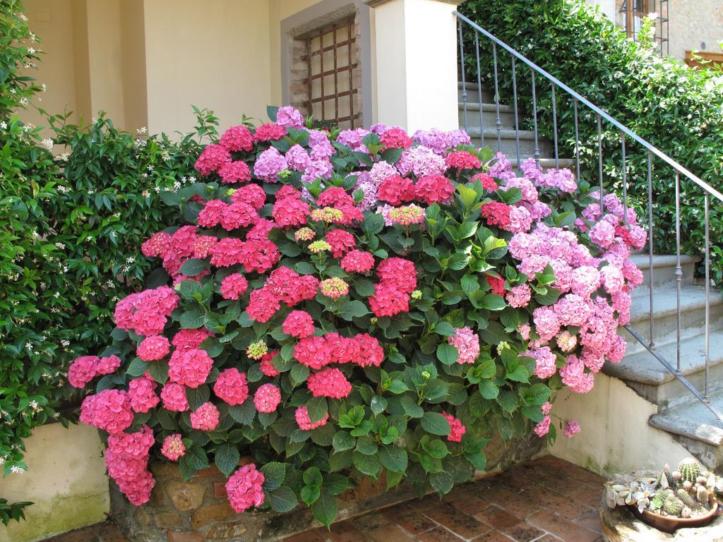 Borgo Dei Cadolingi Appartement Gambassi Terme Buitenkant foto